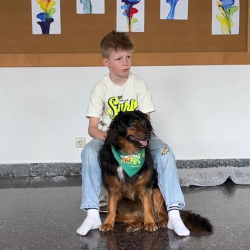 Hund