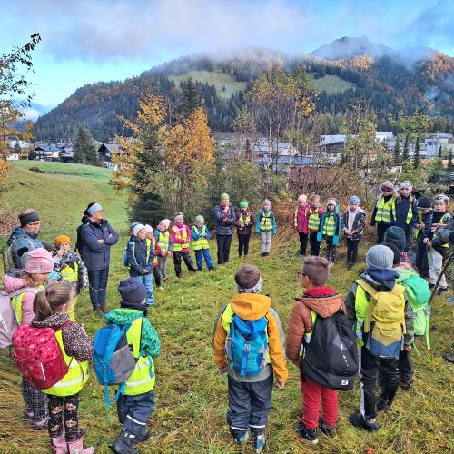 Waldtag_11