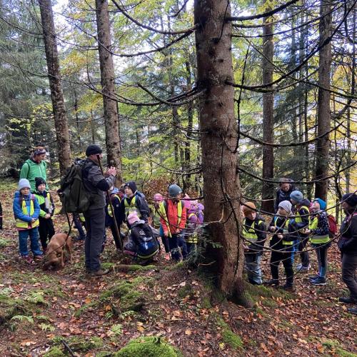 Wandertag Wald