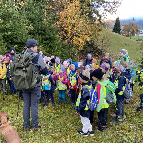 Waldtag_8