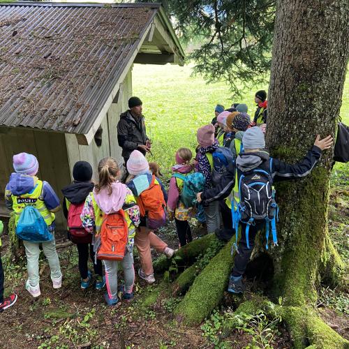 Waldtag_7