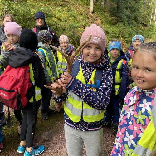 Waldtag_9