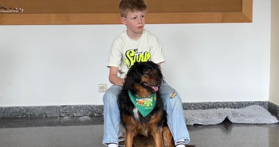 Hund
