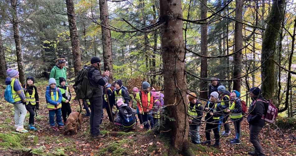 Wandertag Wald