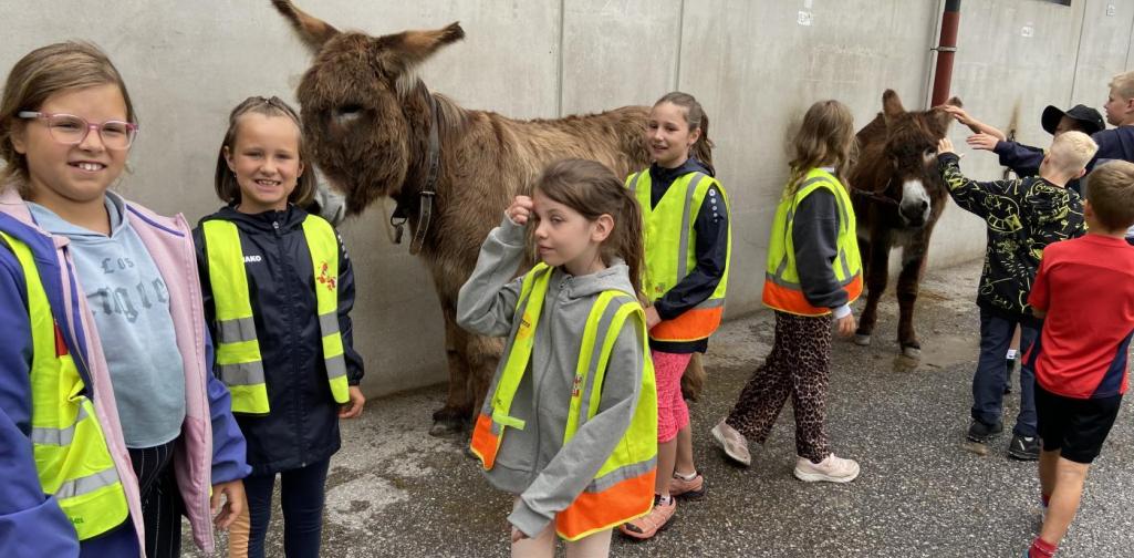 Erlebnistag Biathlon
