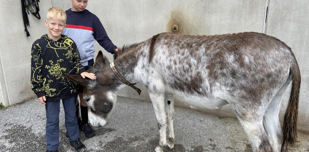 Erlebnistag Biathlon