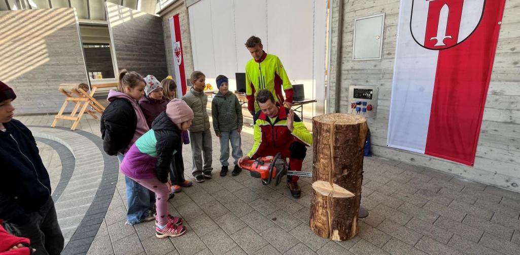 LJ Projekt Wald Landjugendprojekt Wald