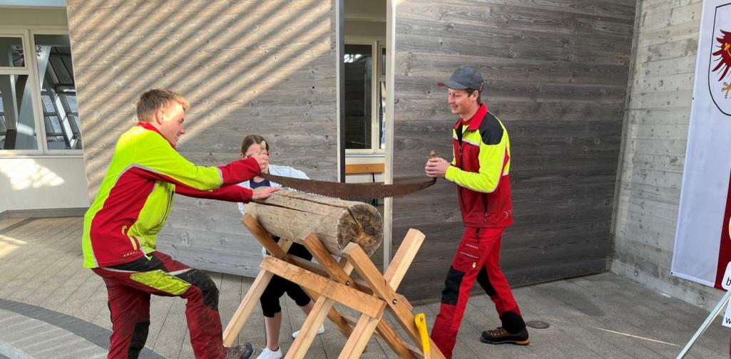 LJ Projekt Wald Landjugendprojekt Wald