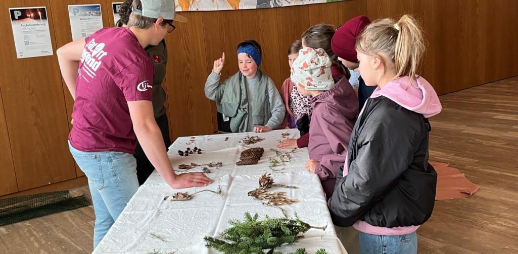 LJ Projekt Wald Landjugendprojekt Wald